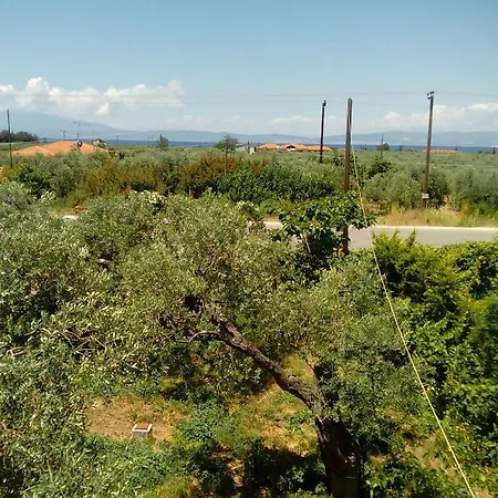 Ξενοδοχείο με διαμερίσματα Thomi Σκάλα Ραχωνίου