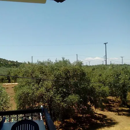 Thomi Szkála Rahoníu