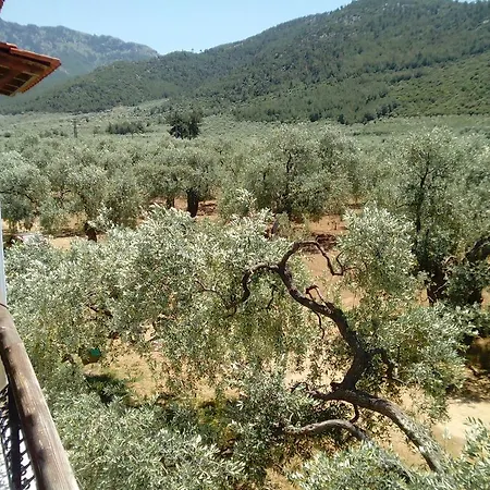Thomi Σκάλα Ραχωνίου