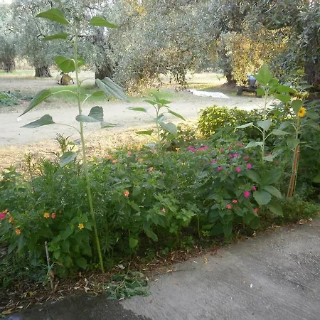 Apartmanhotel Thomi 3*