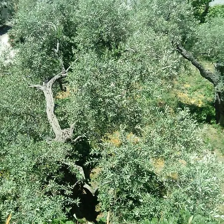 Apart Otel Thomi Skala Rachoni (Thasos)